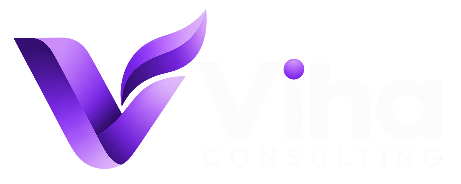 Viha Consulting logo, gray cat icon, "We Deliver What We Promise" slogan