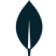 mongodb